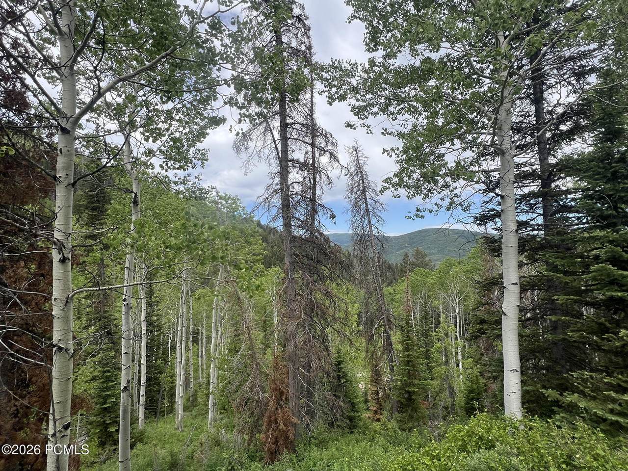 https://bt-photos.global.ssl.fastly.net/parkcity/1280_boomver_1_12601741-2.jpg