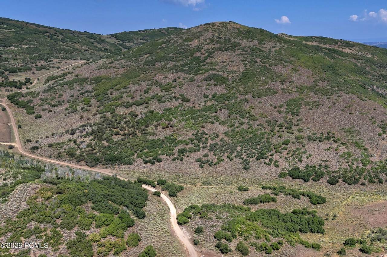 1646 N Miles Hollow Road - Photo 1