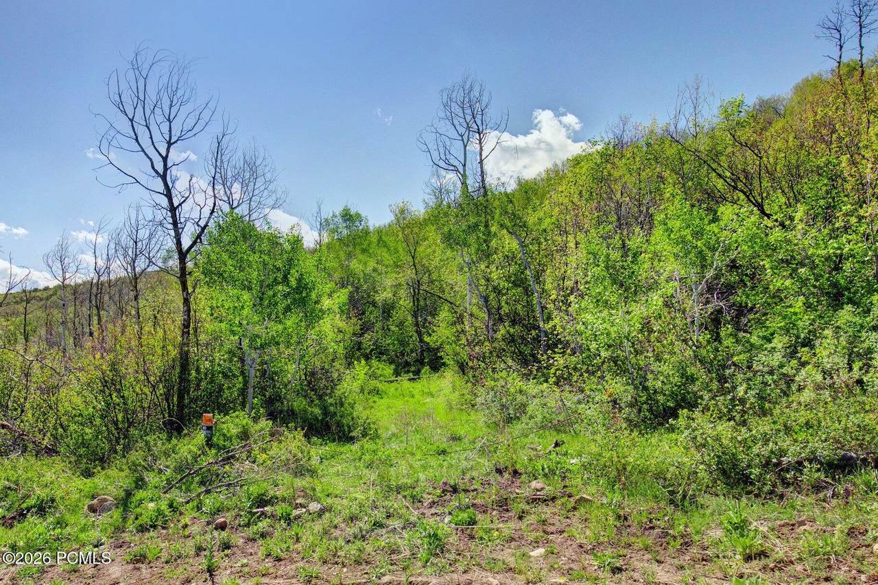 4967 Woodland Way - Photo 1