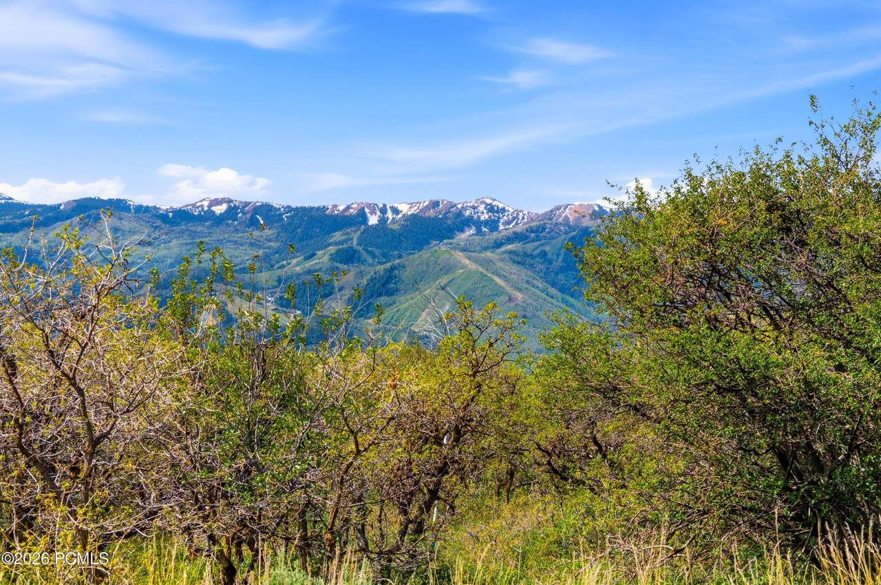 https://bt-photos.global.ssl.fastly.net/parkcity/1280_boomver_1_12602462-2.jpg
