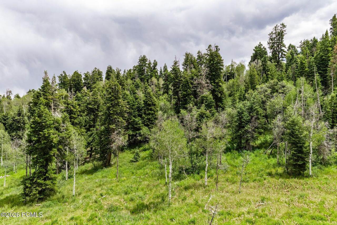https://bt-photos.global.ssl.fastly.net/parkcity/1280_boomver_1_12603420-2.jpg