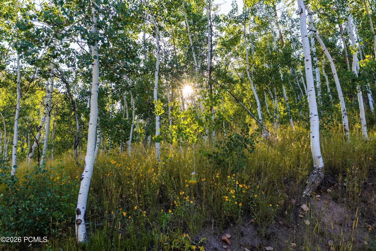 https://bt-photos.global.ssl.fastly.net/parkcity/1280_boomver_1_12603562-2.jpg