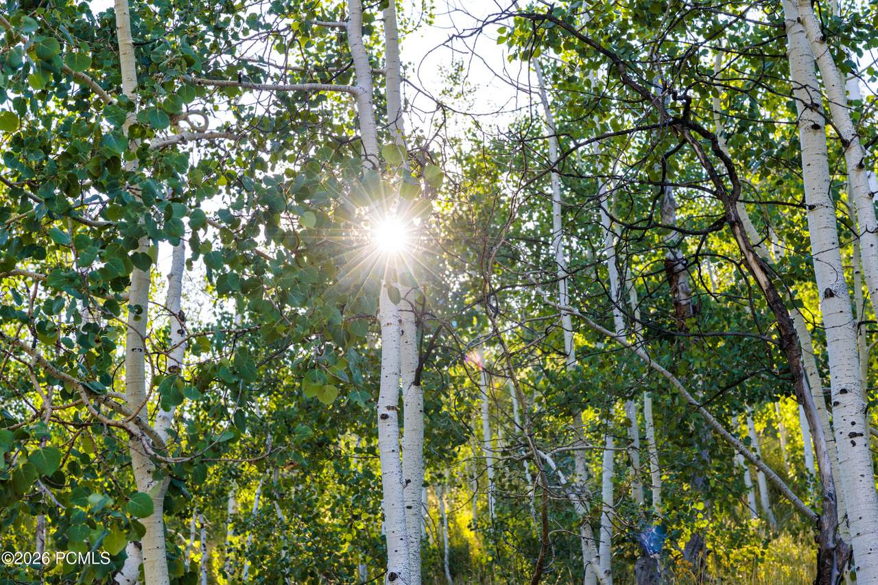 https://bt-photos.global.ssl.fastly.net/parkcity/1280_boomver_1_12603562-2.jpg