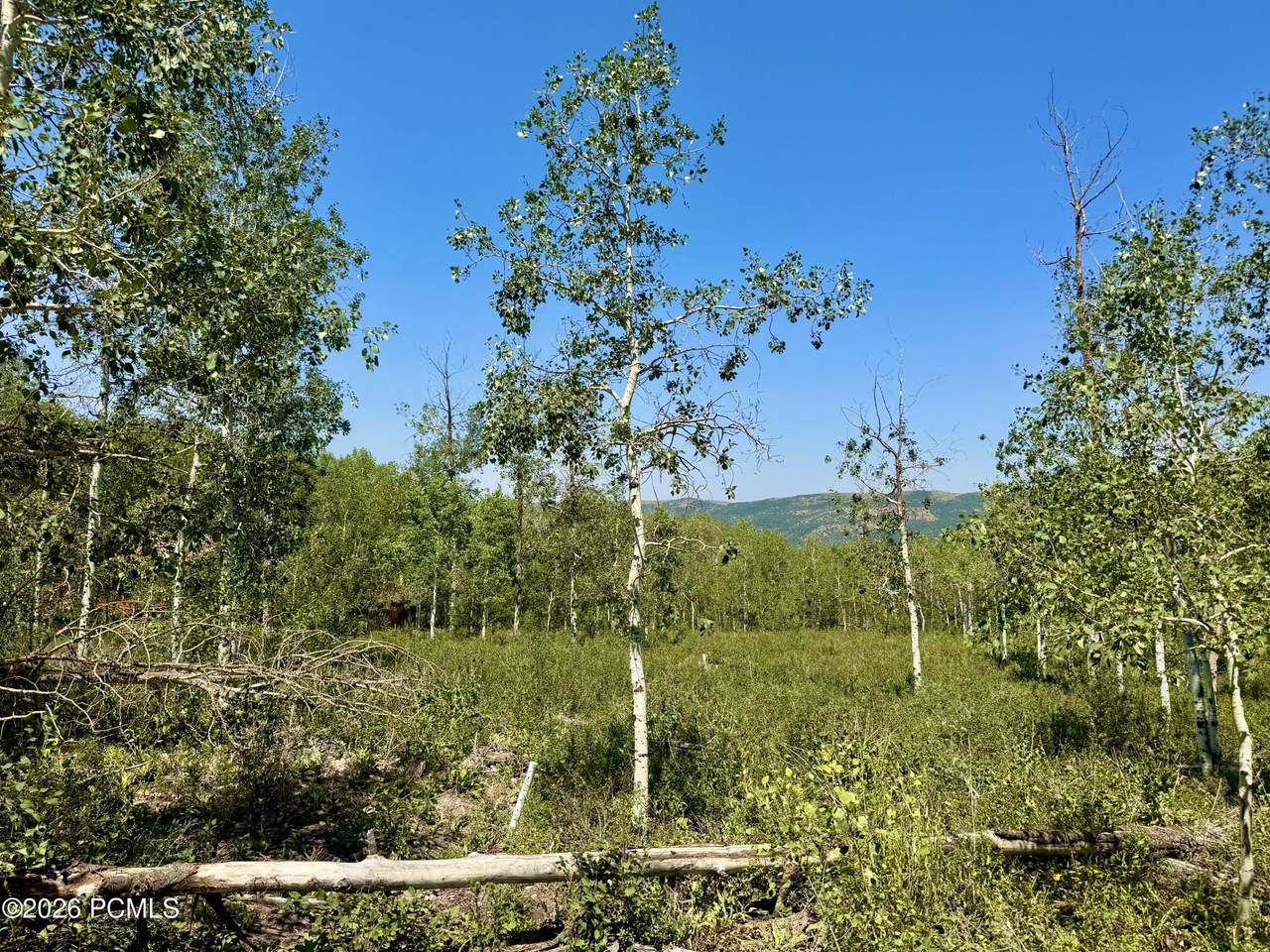https://bt-photos.global.ssl.fastly.net/parkcity/1280_boomver_1_12603573-2.jpg