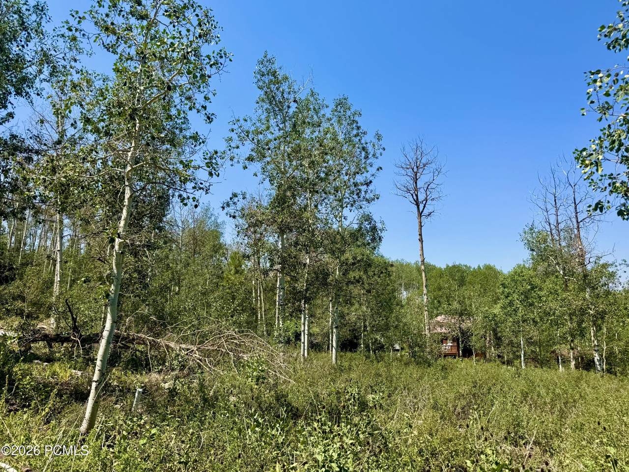 https://bt-photos.global.ssl.fastly.net/parkcity/1280_boomver_1_12603573-2.jpg