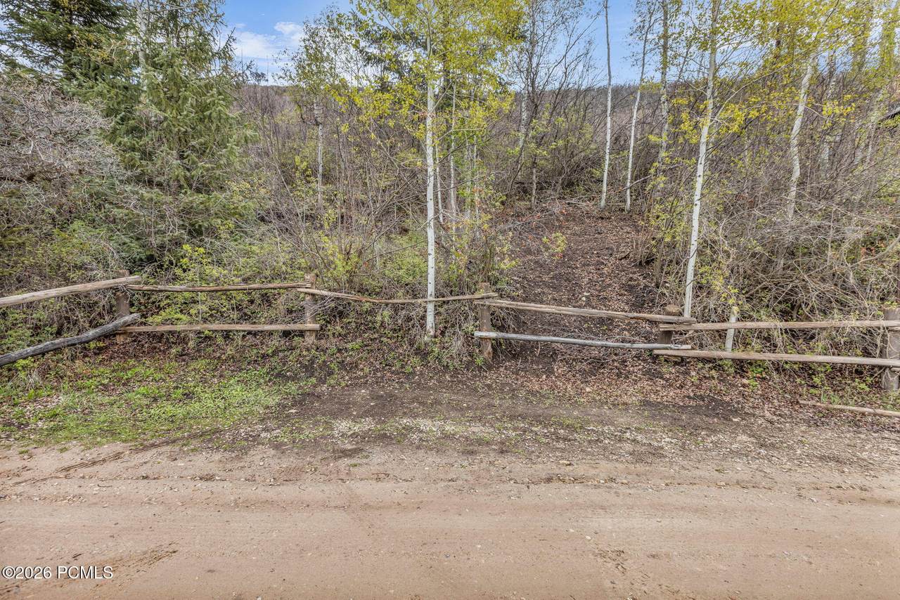 1442 Weber Wild Road - Photo 1