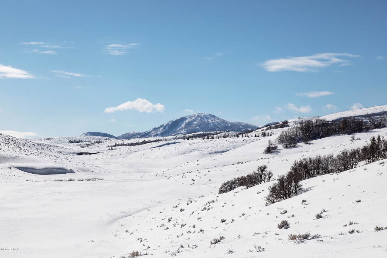 7072 Painted Valley Pass - Photo 1