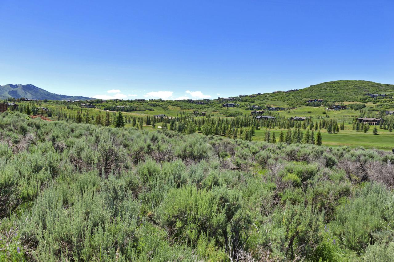 7290 Foxglove - Photo 1