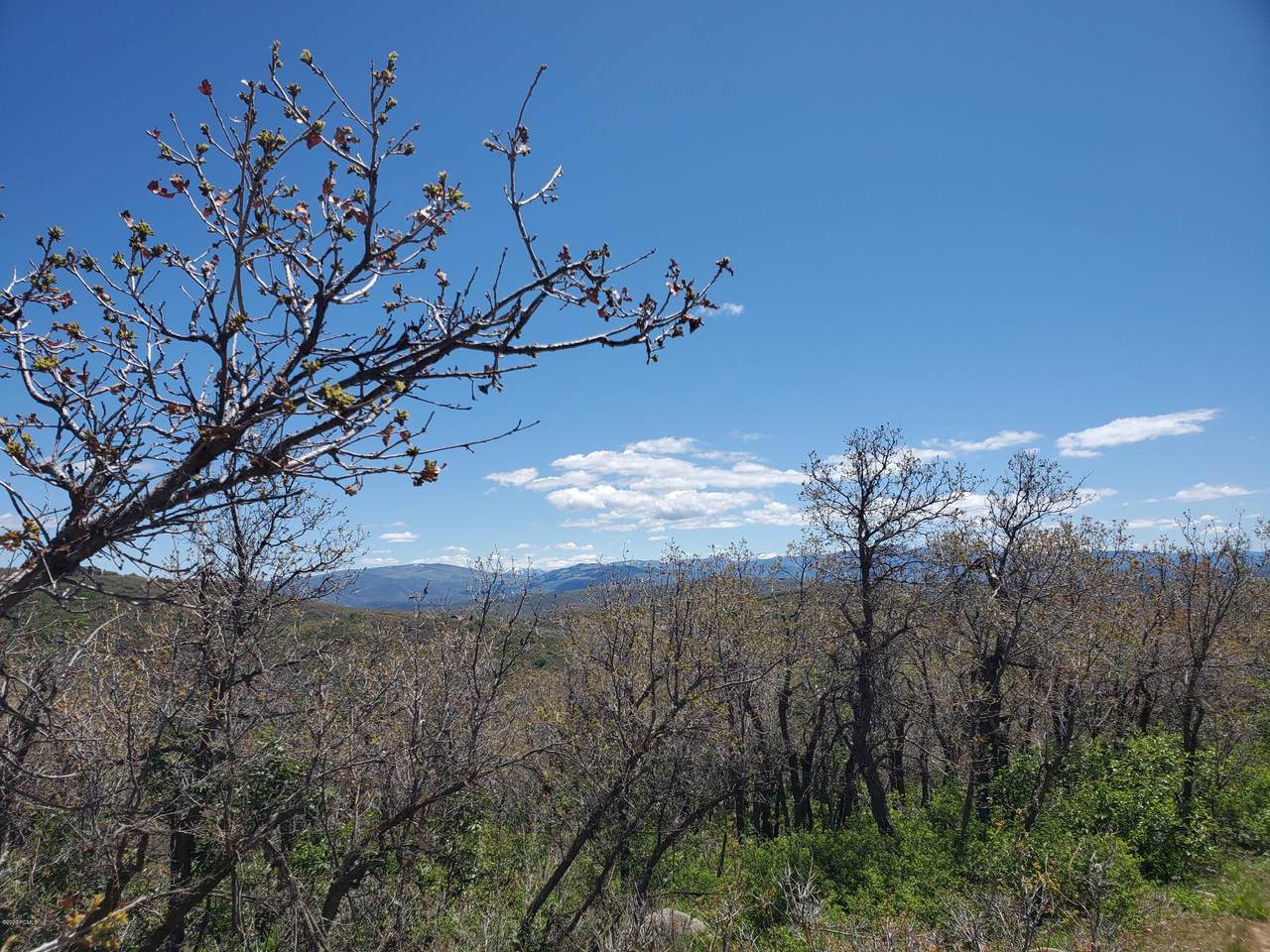 10023 Basin Canyon Road - Photo 1 10023 Basin Canyon Road - Photo 1
