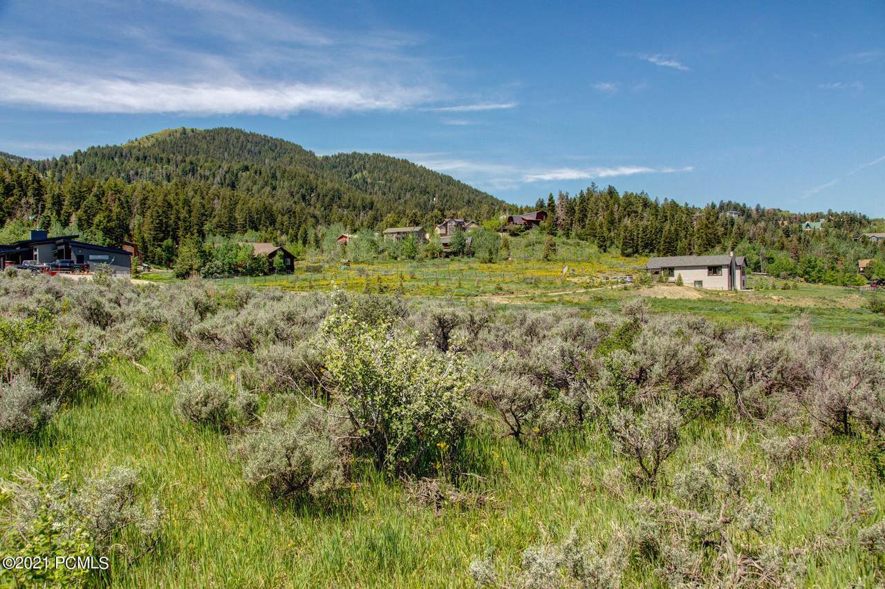 4798 Ponderosa Drive - Photo 1