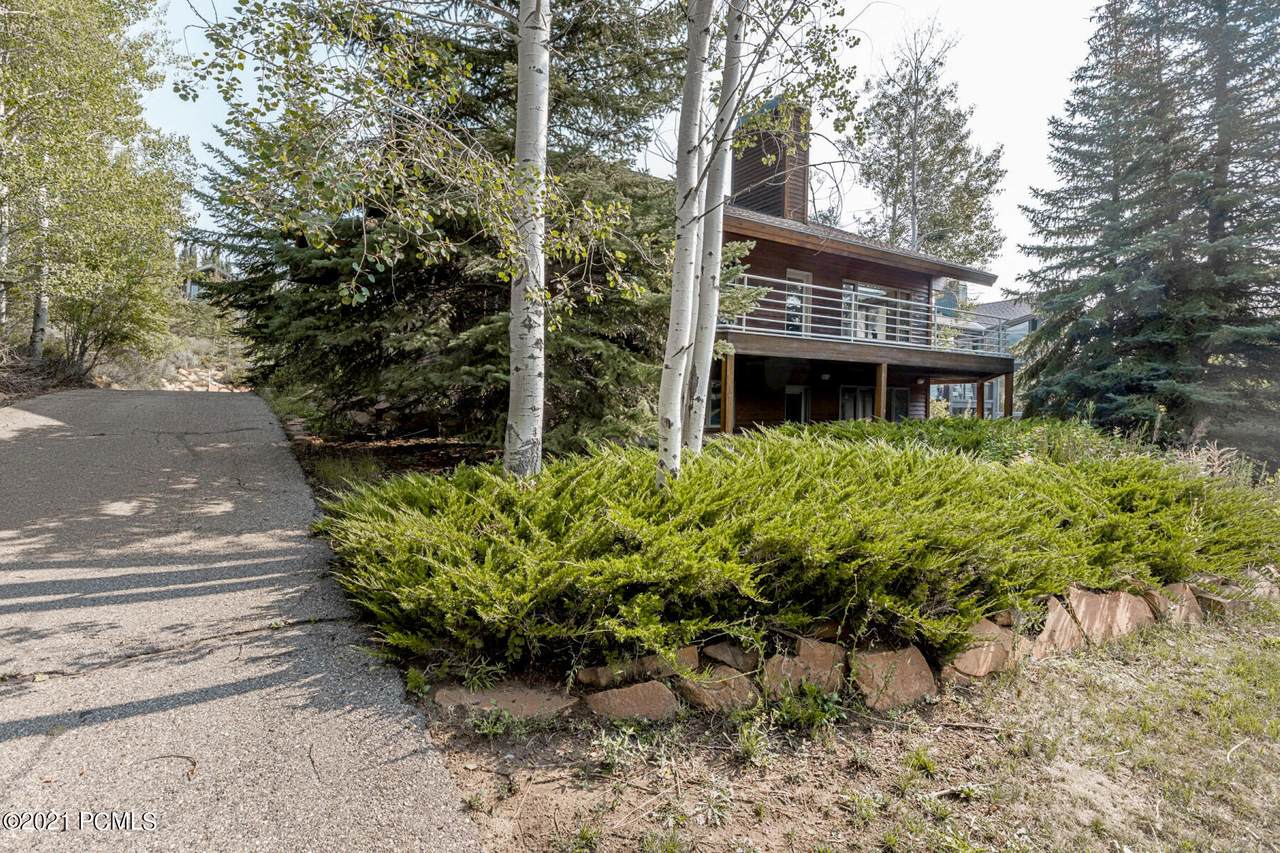 3244 American Saddler Drive - Photo 1