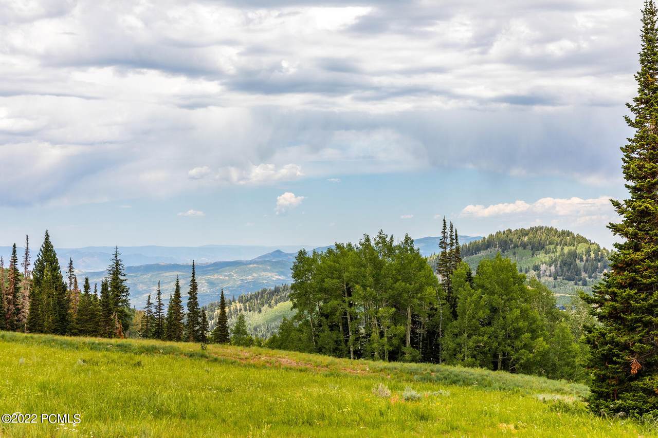 324 White Pine Canyon Road - Photo 1