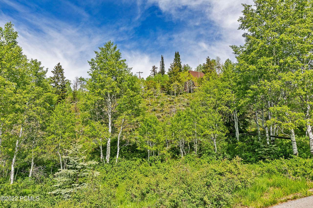 5697 Caribou Drive - Photo 1
