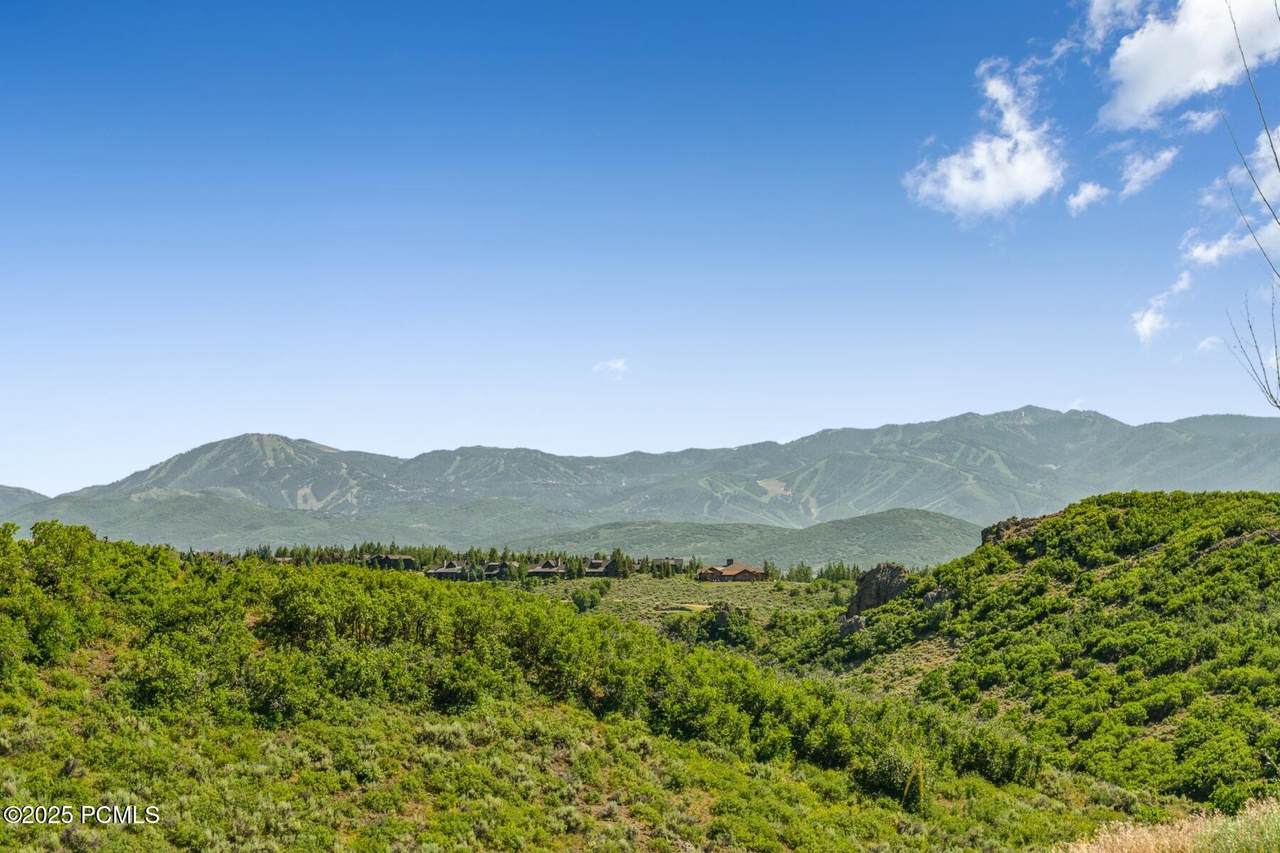 8761 Silver Light Lane - Photo 1