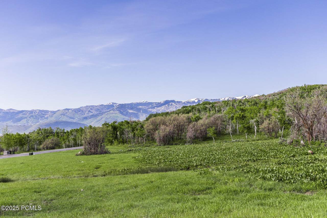 1509 Preserve Drive - Photo 1