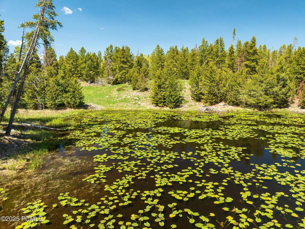 2045 Stillwater Loop - Photo 1