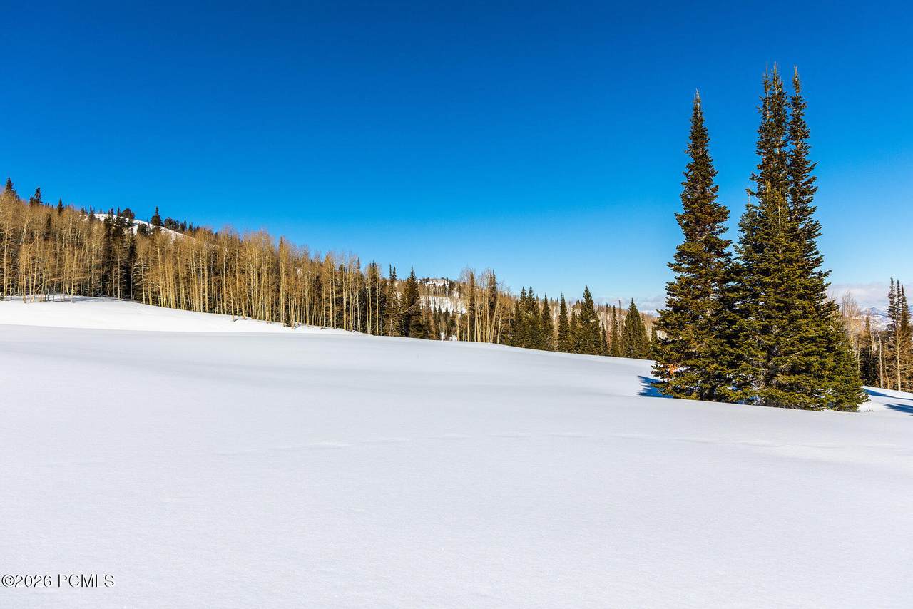https://bt-photos.global.ssl.fastly.net/parkcity/1280_boomver_2_12502557-2.jpg