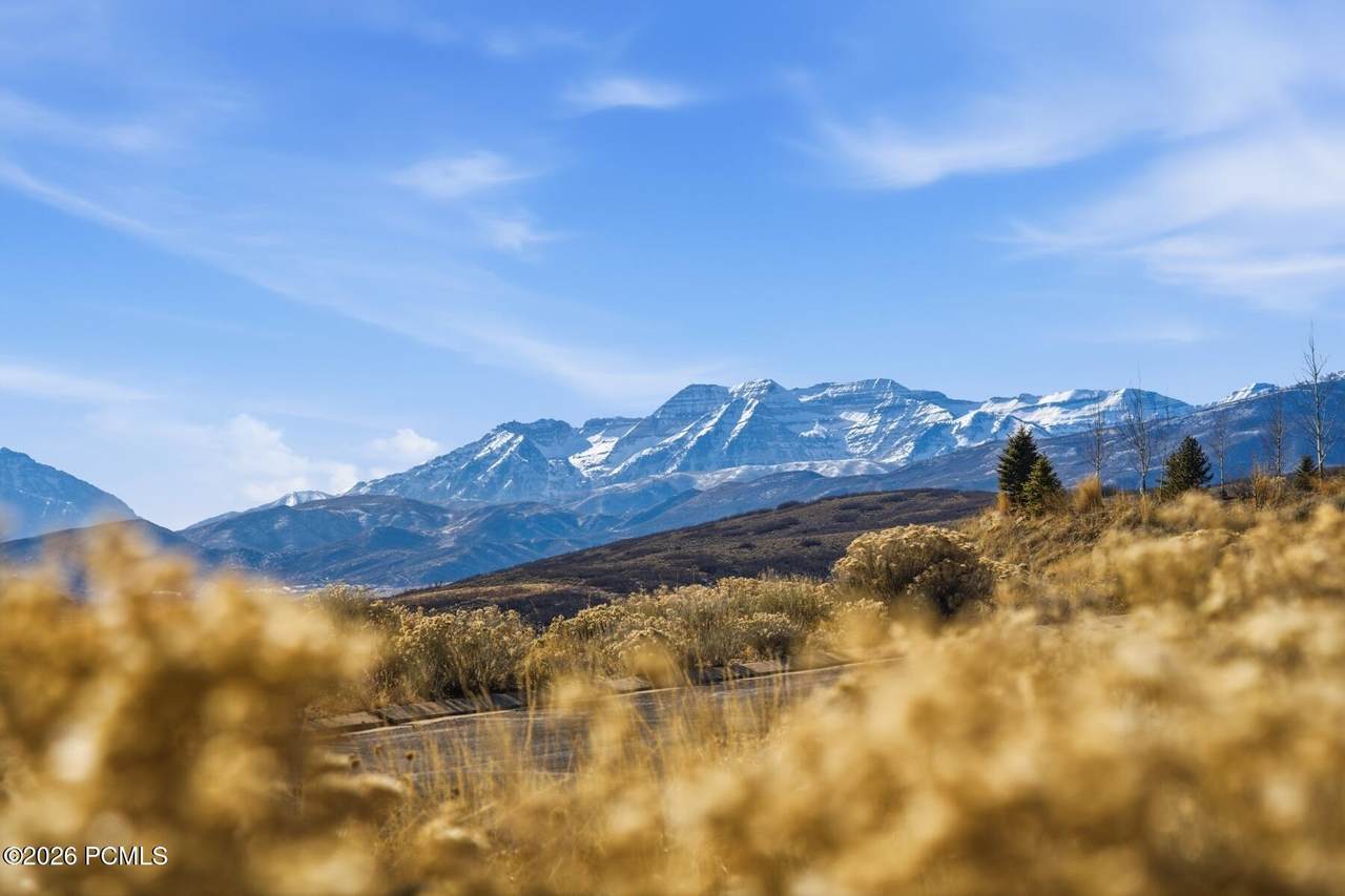 2654 River Meadows Drive - Photo 1