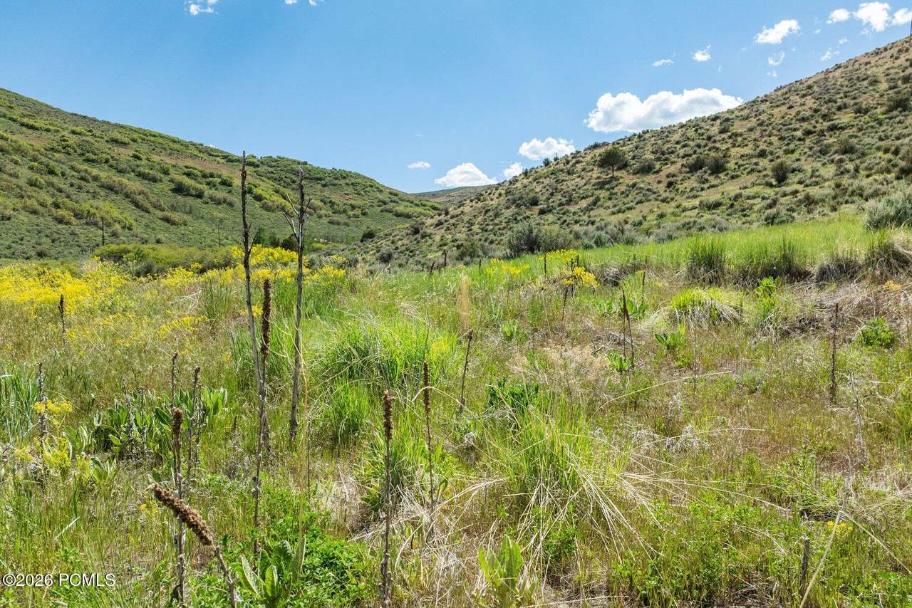 6325 Elk Ridge Road - Photo 1