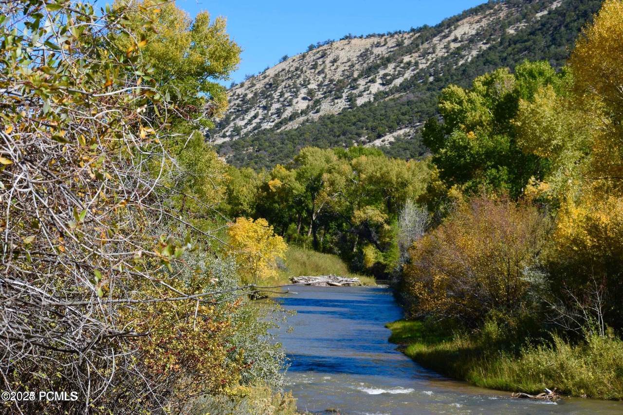 34006 Strawberry River Road - Photo 1