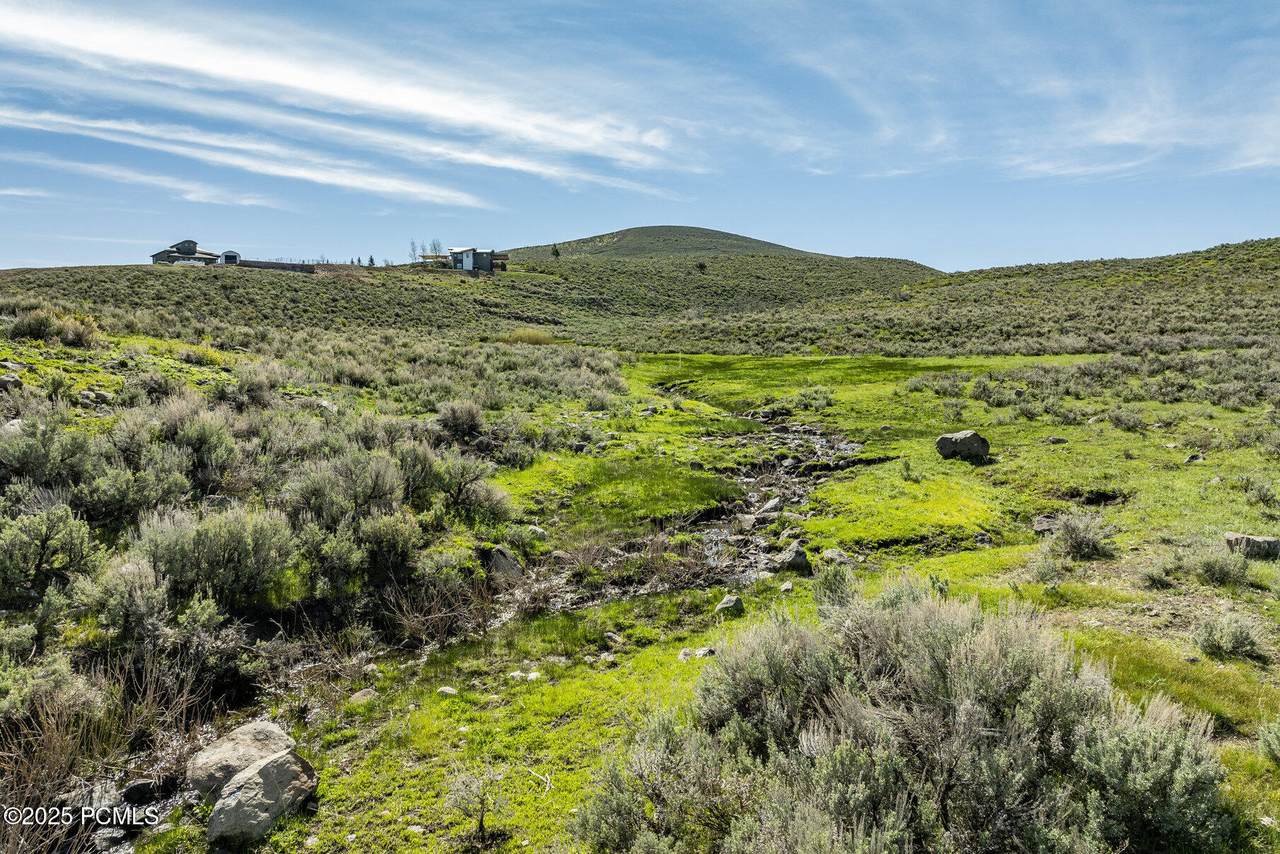 7795 Browns Canyon Road - Photo 1