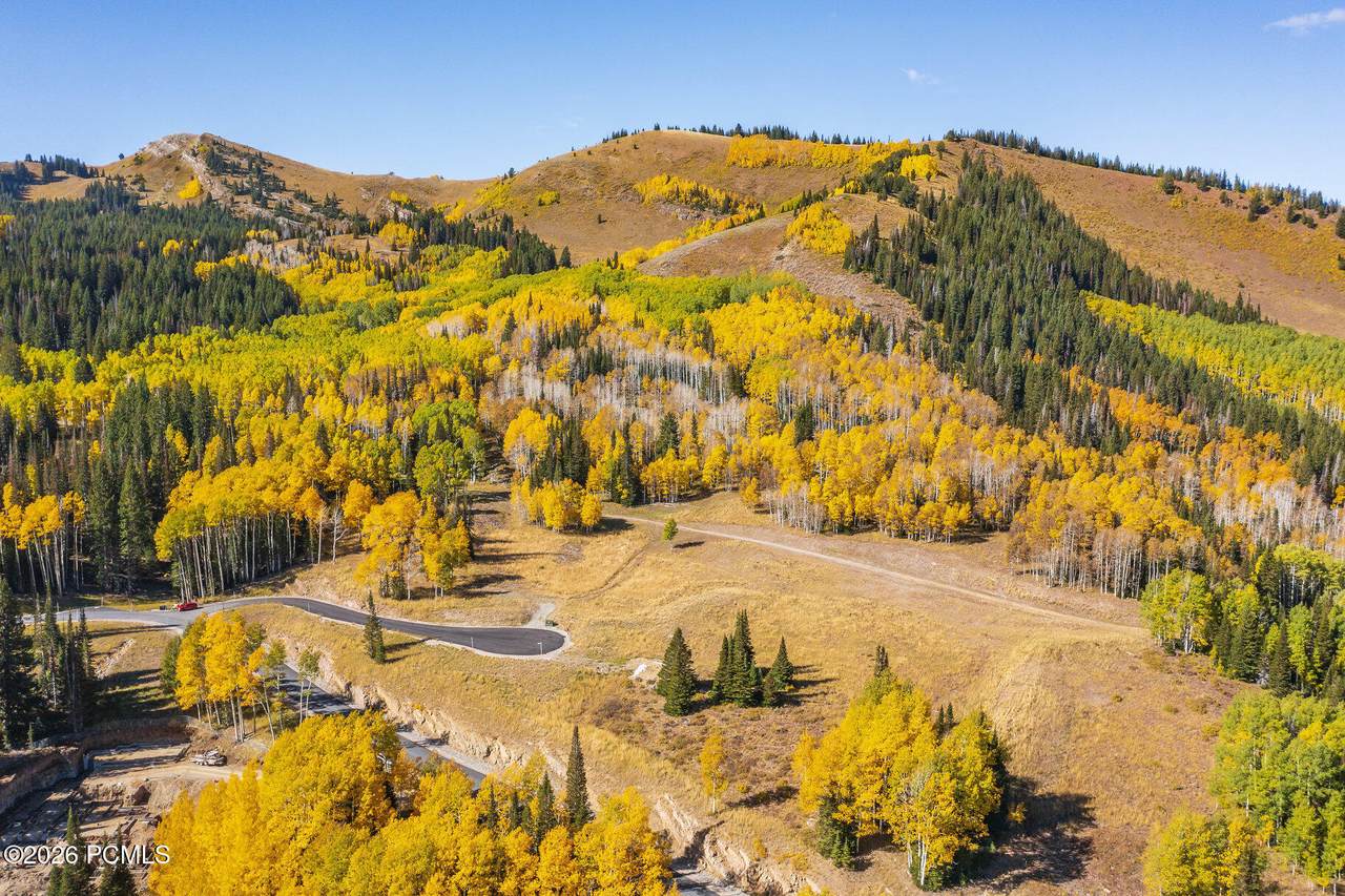 325 White Pine Canyon Road - Photo 1