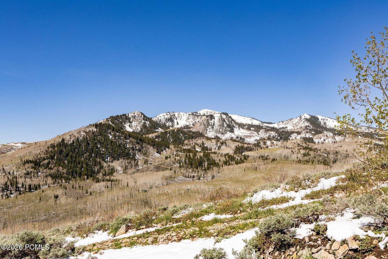 https://bt-photos.global.ssl.fastly.net/parkcity/1280_boomver_3_12503377-2.jpg