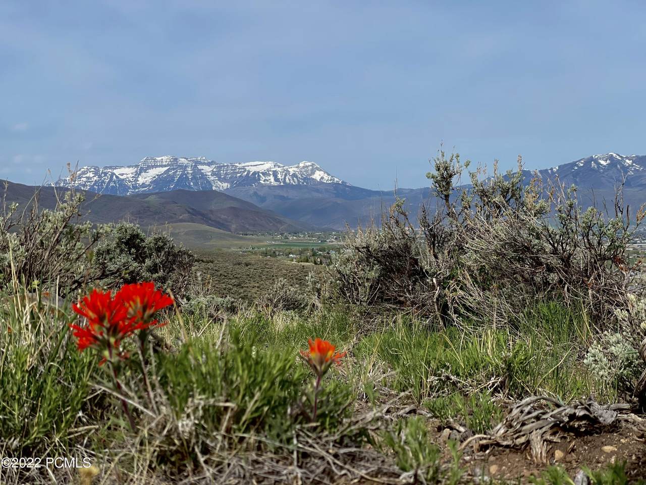 10 Skyline View Drive - Photo 1