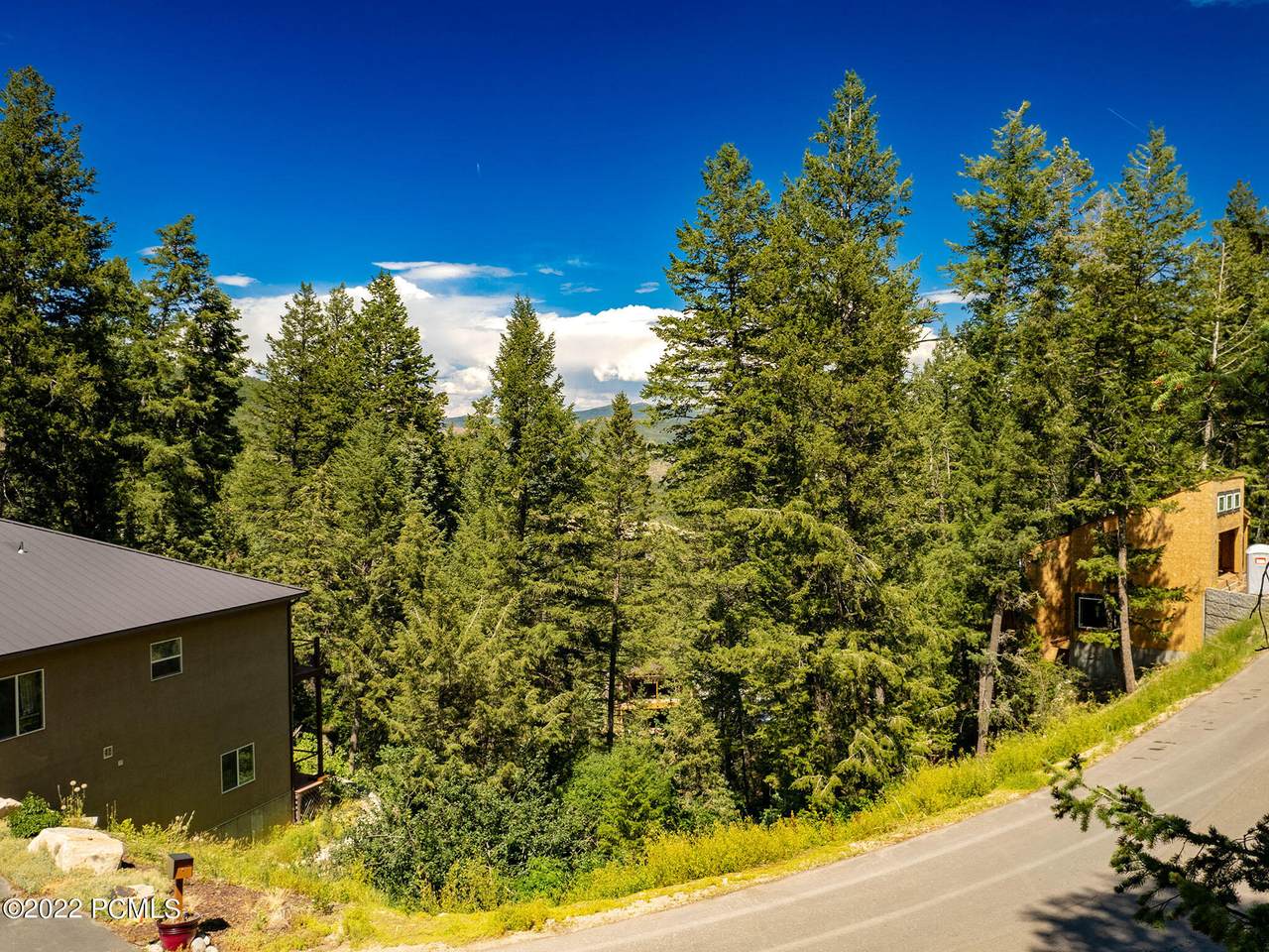 480 Upper Evergreen Drive - Photo 1