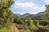 533 Left Fork Hobble Creek Canyon - Photo 14