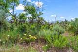 11 Skyline View Drive - Photo 1