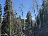 661 Red Fir Way - Photo 4