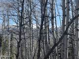 661 Red Fir Way - Photo 5