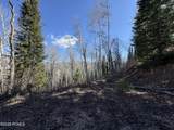 661 Red Fir Way - Photo 8
