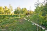 11042 Wild Elk Meadow - Photo 67