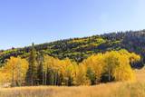 325 White Pine Canyon Road - Photo 100