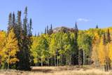 325 White Pine Canyon Road - Photo 102