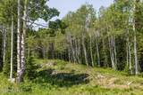 325 White Pine Canyon Road - Photo 29