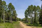 325 White Pine Canyon Road - Photo 30