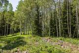 325 White Pine Canyon Road - Photo 31