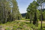325 White Pine Canyon Road - Photo 34