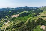 325 White Pine Canyon Road - Photo 39