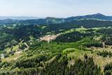 325 White Pine Canyon Road - Photo 40