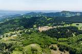 325 White Pine Canyon Road - Photo 41