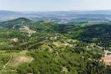 325 White Pine Canyon Road - Photo 42