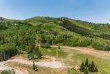 325 White Pine Canyon Road - Photo 46
