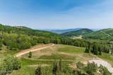 325 White Pine Canyon Road - Photo 47