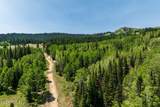 325 White Pine Canyon Road - Photo 48