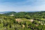 325 White Pine Canyon Road - Photo 49