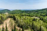 325 White Pine Canyon Road - Photo 50